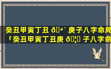 癸丑甲寅丁丑 🪴 庚子八字命局「癸丑甲寅丁丑庚 🦊 子八字命局怎么样」